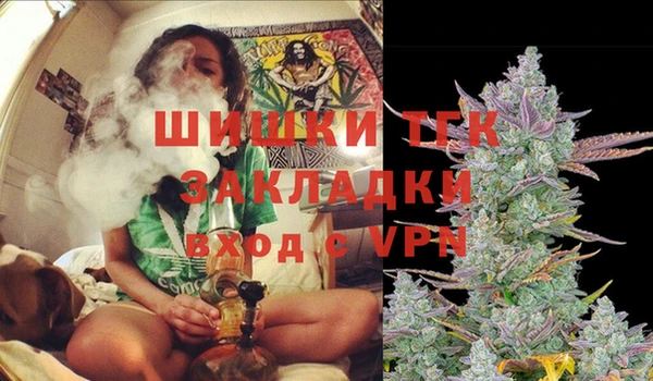 гидра Армянск