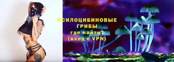 гидра Армянск