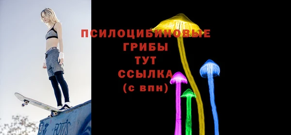ешки Аркадак