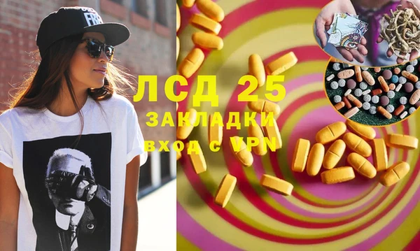 ешки Аркадак