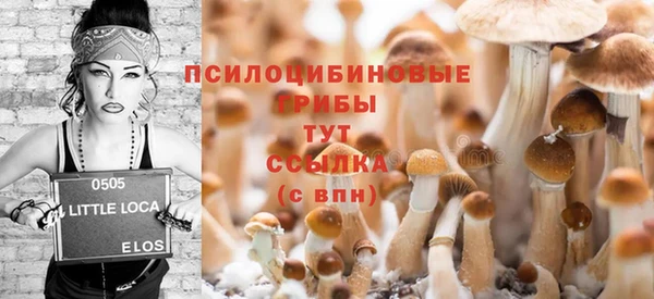гидра Армянск