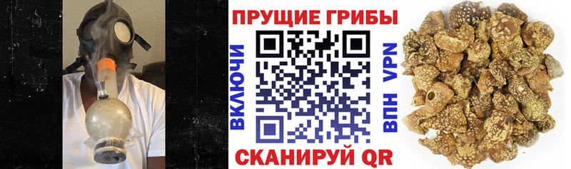 Галлюциногенные грибы Psilocybe  мега ТОР  Углегорск 